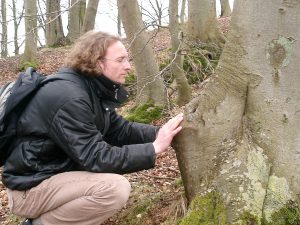 Baum und Mensch