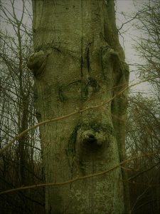 Alte Völker Rituale Bäume