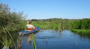 Flusswandern auf der Peene